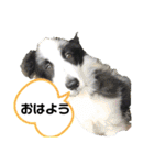 ケロレオ9（個別スタンプ：7）