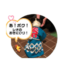 ケロレオ9（個別スタンプ：25）