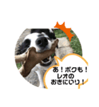 ケロレオ9（個別スタンプ：27）