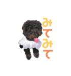 焦げぷーティナ。（個別スタンプ：19）
