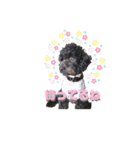 焦げぷーティナ。（個別スタンプ：26）