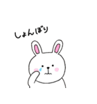 ゆるほわどうぶつ園（個別スタンプ：3）