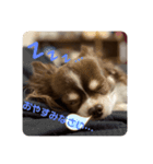 拳志朗らいふ（個別スタンプ：3）