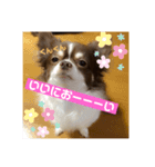 拳志朗らいふ（個別スタンプ：6）