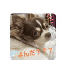 拳志朗らいふ（個別スタンプ：7）