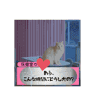 ラブちゃんおねんねちゅう♡♡♡❤（個別スタンプ：3）