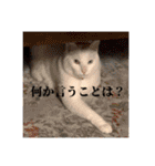 ラブちゃんおねんねちゅう♡♡♡❤（個別スタンプ：8）