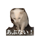 ラブちゃんおねんねちゅう♡♡♡❤（個別スタンプ：14）