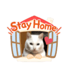 ラブちゃんおねんねちゅう♡♡♡❤（個別スタンプ：17）