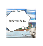 ラブちゃんおねんねちゅう♡♡♡❤（個別スタンプ：35）