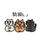 また、お勝手クラブ（個別スタンプ：37）