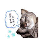 にま♀（個別スタンプ：4）