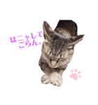 にま♀（個別スタンプ：5）