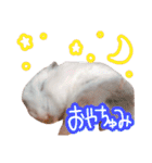 もぐ太スタンプ（個別スタンプ：2）