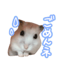 もぐ太スタンプ（個別スタンプ：4）