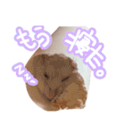 もぐ太スタンプ（個別スタンプ：10）