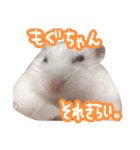 もぐ太スタンプ（個別スタンプ：15）
