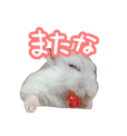 もぐ太スタンプ（個別スタンプ：20）