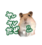 もぐ太スタンプ（個別スタンプ：21）