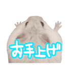 もぐ太スタンプ（個別スタンプ：26）