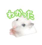 もぐ太スタンプ（個別スタンプ：28）