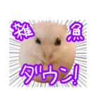 もぐ太スタンプ（個別スタンプ：31）