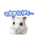 もぐ太スタンプ（個別スタンプ：32）