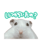 もぐ太スタンプ（個別スタンプ：33）
