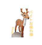 どこで撮った写真でしょうか？（個別スタンプ：8）