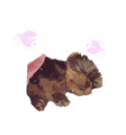 Chloeちゃんスタンプ₍ᐢ- ̫-ᐢ₎♡（個別スタンプ：2）