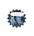 犬猫の気持ちスタンプ（個別スタンプ：1）