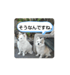 犬猫の気持ちスタンプ（個別スタンプ：2）