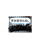 犬猫の気持ちスタンプ（個別スタンプ：4）