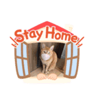 ミーちゃマンのスタンプ（個別スタンプ：8）