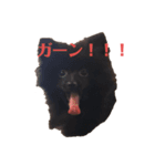 くろまつとみんちゃん（個別スタンプ：3）