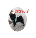くろまつとみんちゃん（個別スタンプ：4）