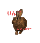 くろまつとみんちゃん（個別スタンプ：6）