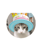 サーくんモカくんリンくんスタンプ（個別スタンプ：3）