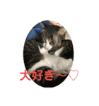 サーくんモカくんリンくんスタンプ（個別スタンプ：5）