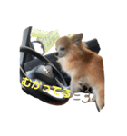 毎日りゅうくんだよ（個別スタンプ：8）