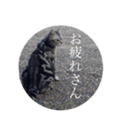 ばななちゃんのボヤキ。（個別スタンプ：1）