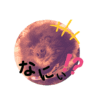 ウチのレオン（個別スタンプ：16）