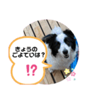 ケロレオ8（個別スタンプ：5）