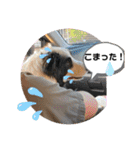 ケロレオ8（個別スタンプ：7）