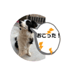 ケロレオ8（個別スタンプ：9）