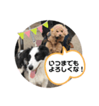 ケロレオ8（個別スタンプ：11）
