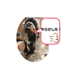 ケロレオ8（個別スタンプ：12）