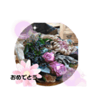 ケロレオ8（個別スタンプ：14）