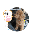 ケロレオ8（個別スタンプ：20）