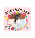 あゆむくん5（個別スタンプ：2）